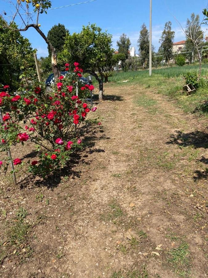 Appartamenti Michelino Parghelia Esterno foto